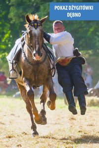 65880295_2379961405402616_6672707396323770368_n